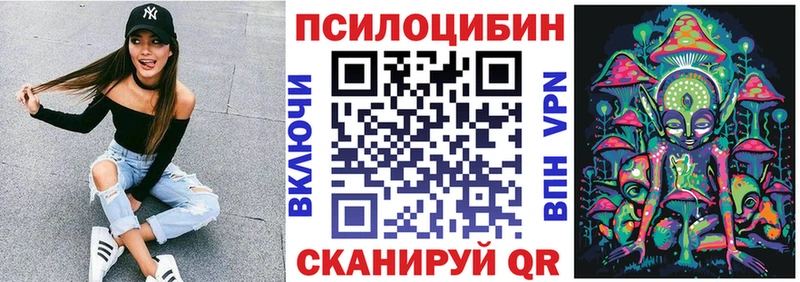 где можно купить   Мариинский Посад  Галлюциногенные грибы GOLDEN TEACHER 